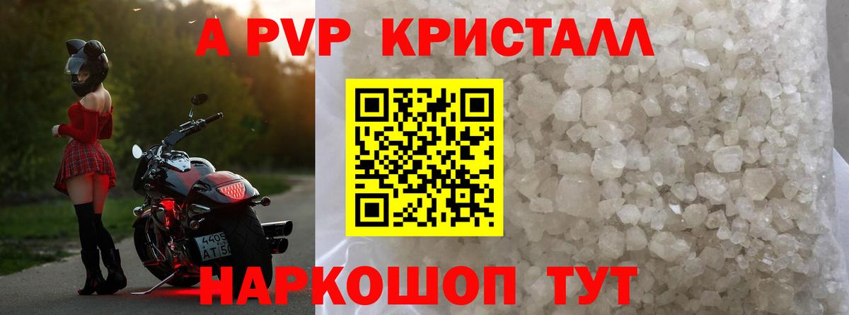 Альфа ПВП СК КРИС Партизанск