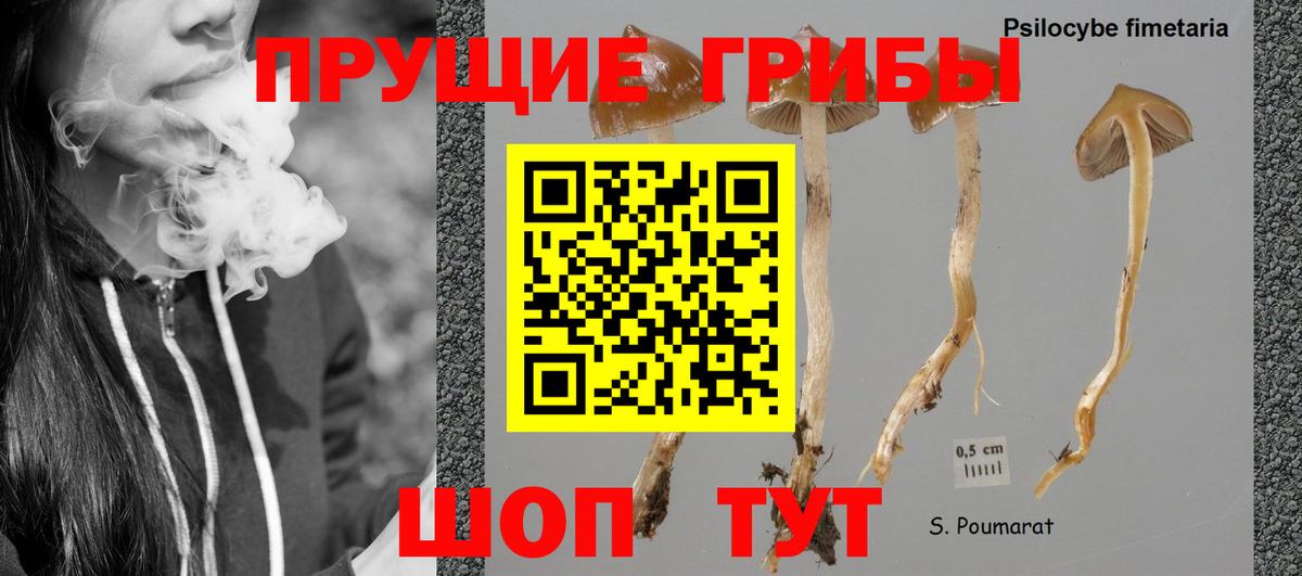 Псилоцибиновые грибы Cubensis  Галлюциногенные грибы Psilocybine cubensis  Вход с VPN  Партизанск 